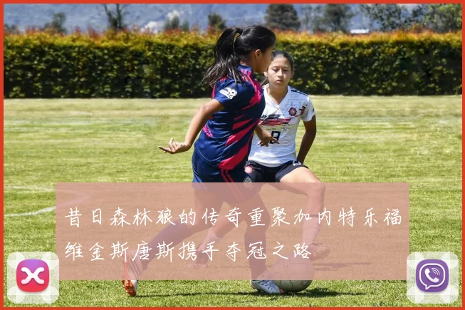 昔日森林狼的传奇重聚加内特乐福维金斯唐斯携手夺冠之路
